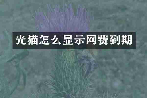 光猫怎么显示网费到期