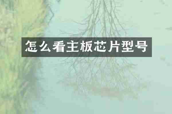 怎么看主板芯片型号