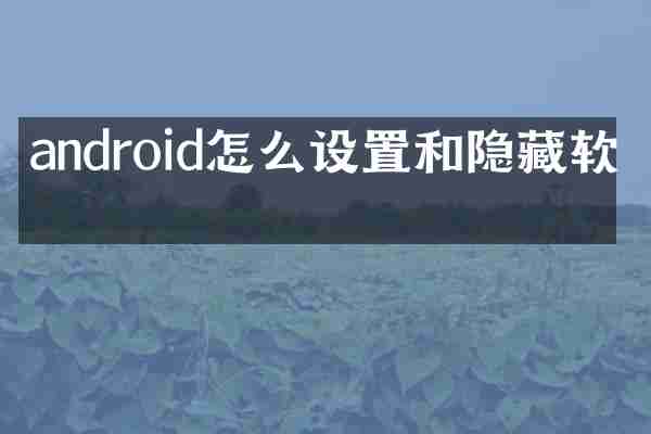 android怎么设置和隐藏软件