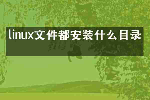linux文件都安装什么目录下