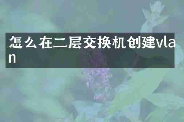 怎么在二层交换机创建vlan