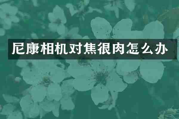 尼康相机对焦很肉怎么办