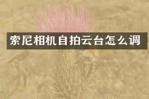 索尼相机自拍云台怎么调