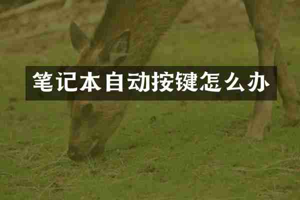 笔记本自动按键怎么办