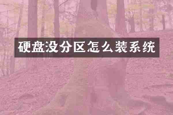硬盘没分区怎么装系统