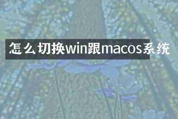 怎么切换win跟macos系统