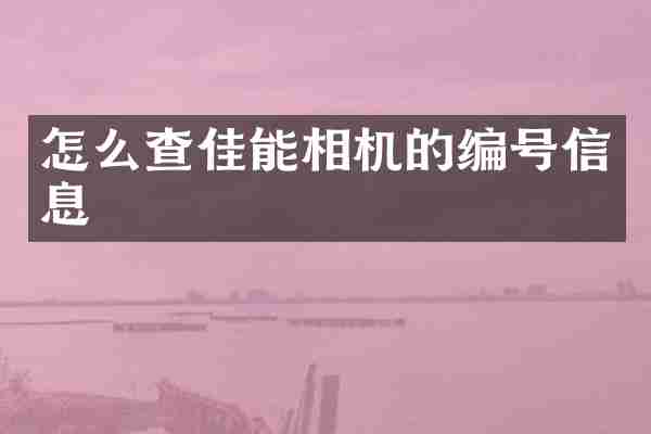 怎么查佳能相机的编号信息