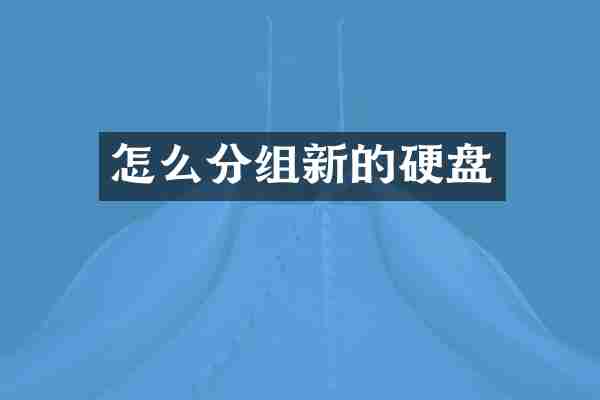 怎么分组新的硬盘