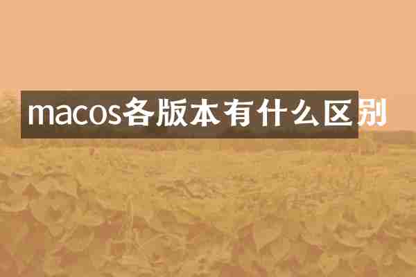 macos各版本有什么区别