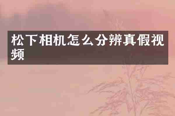 松下相机怎么分辨真假视频