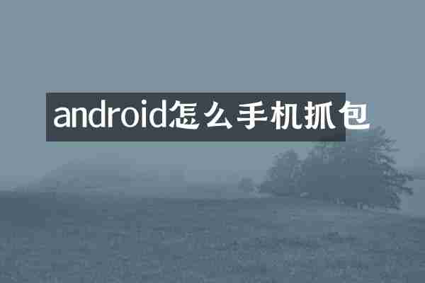 android怎么手机抓包