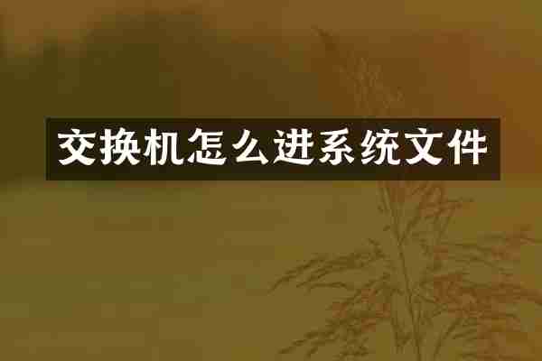 交换机怎么进系统文件