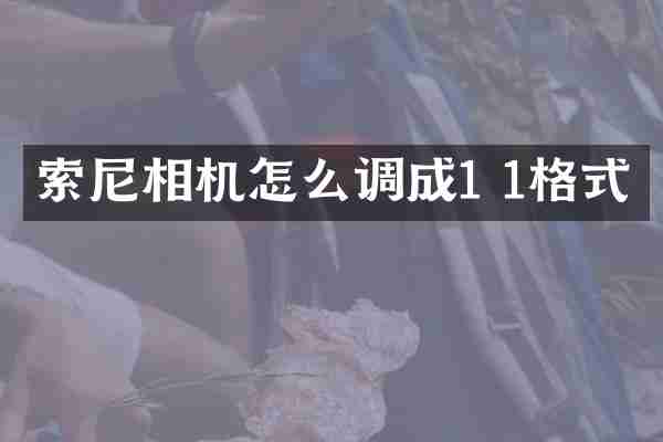 索尼相机怎么调成1 1格式