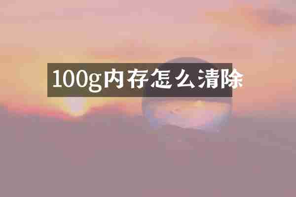 100g内存怎么清除