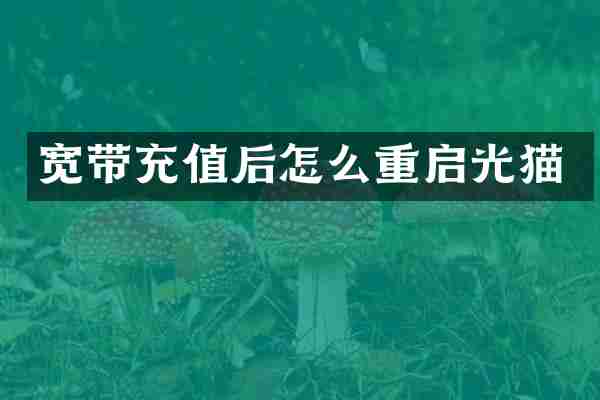 宽带充值后怎么重启光猫