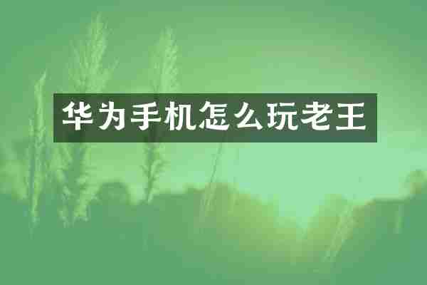 华为手机怎么玩老王