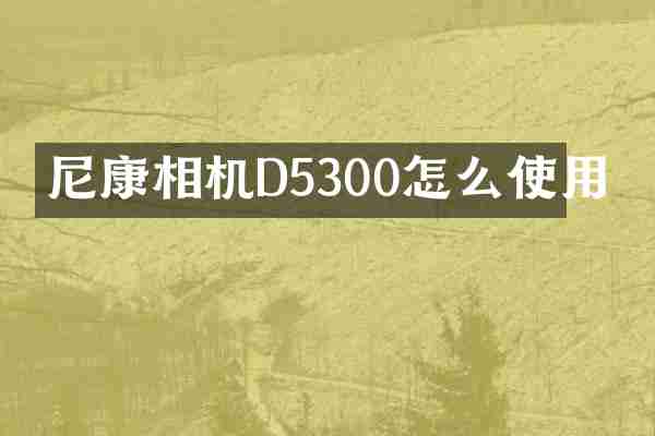 尼康相机D5300怎么使用