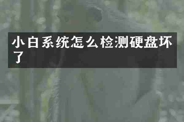 小白系统怎么检测硬盘坏了