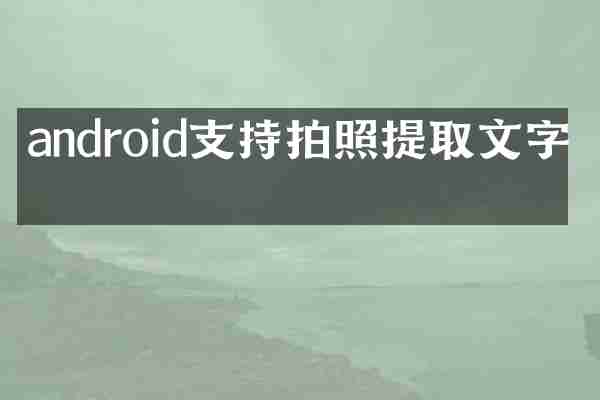 android支持拍照提取文字吗