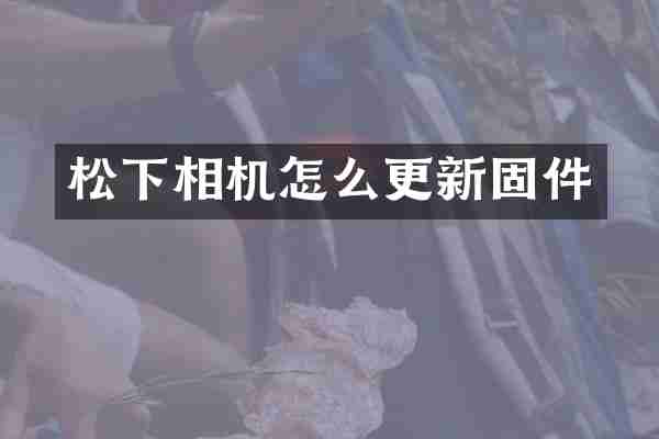 松下相机怎么更新固件