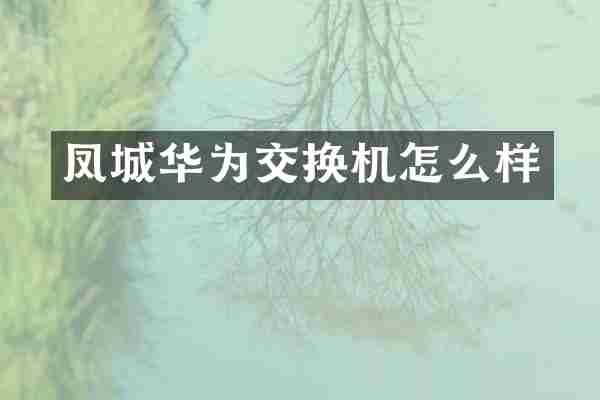 凤城华为交换机怎么样