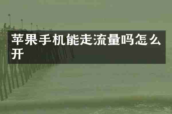 苹果手机能走流量吗怎么开