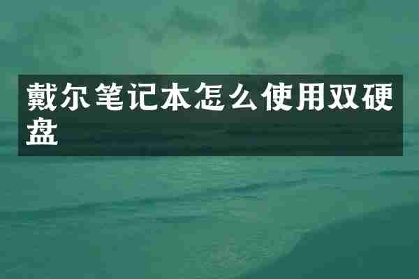 戴尔笔记本怎么使用双硬盘