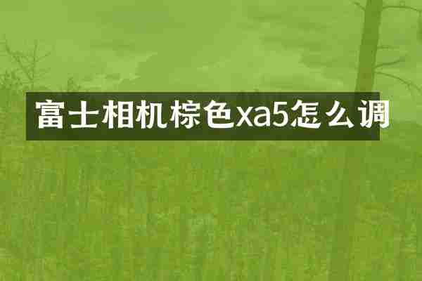 富士相机棕色xa5怎么调