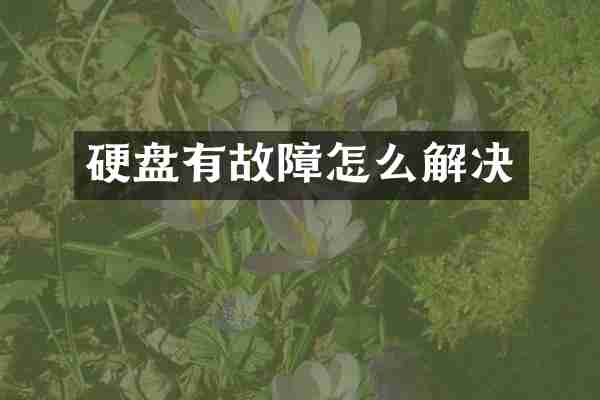 硬盘有故障怎么解决