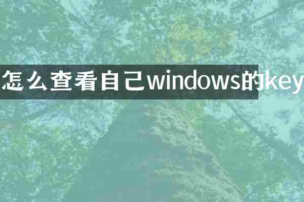 怎么查看自己windows的key