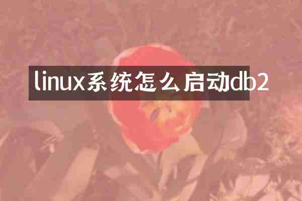 linux系统怎么启动db2