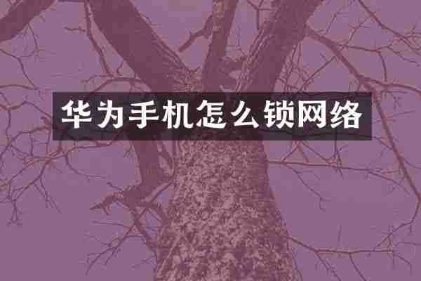 华为手机怎么锁网络