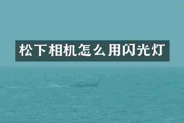 松下相机怎么用闪光灯