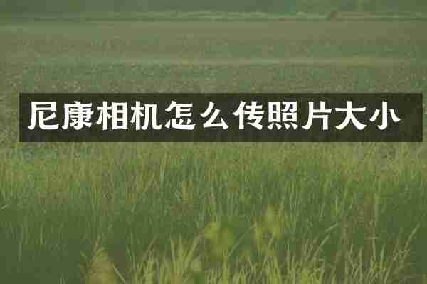 尼康相机怎么传照片大小