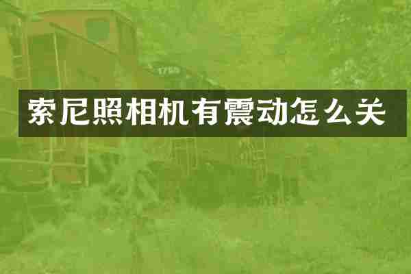 索尼照相机有震动怎么关