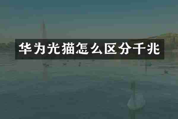 华为光猫怎么区分千兆