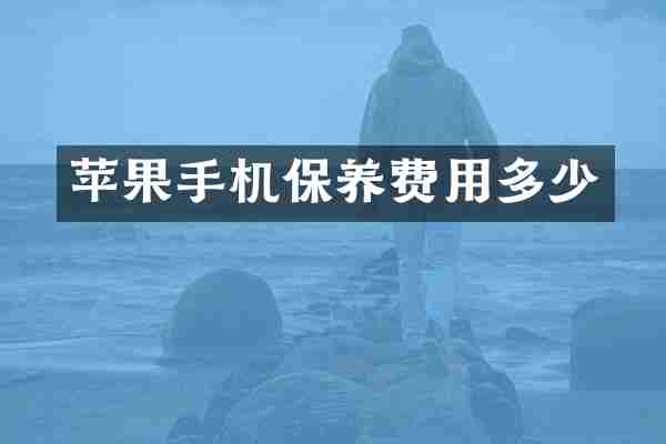 苹果手机保养费用多少