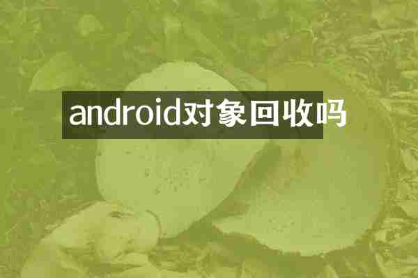 android对象回收吗