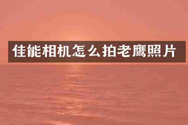 佳能相机怎么拍老鹰照片