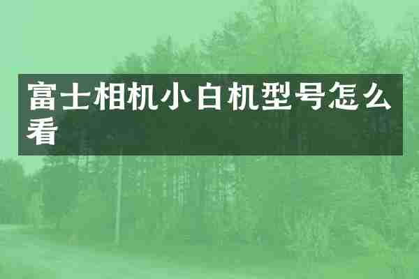 富士相机小白机型号怎么看