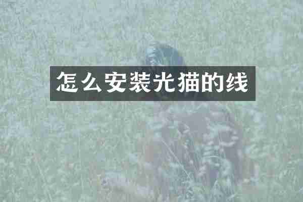 怎么安装光猫的线