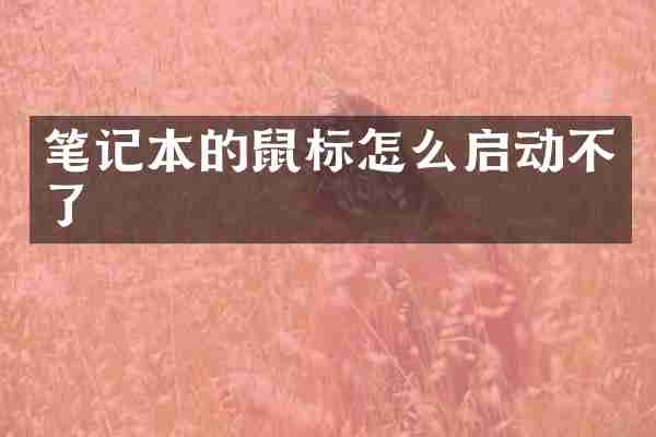 笔记本的鼠标怎么启动不了