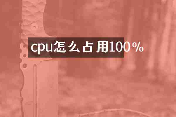 cpu怎么占用100%