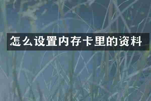怎么设置内存卡里的资料