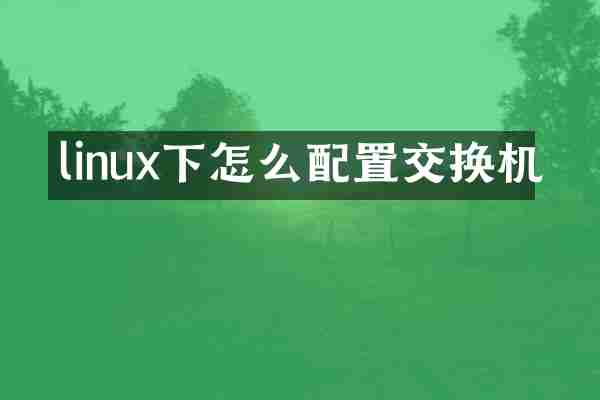 linux下怎么配置交换机