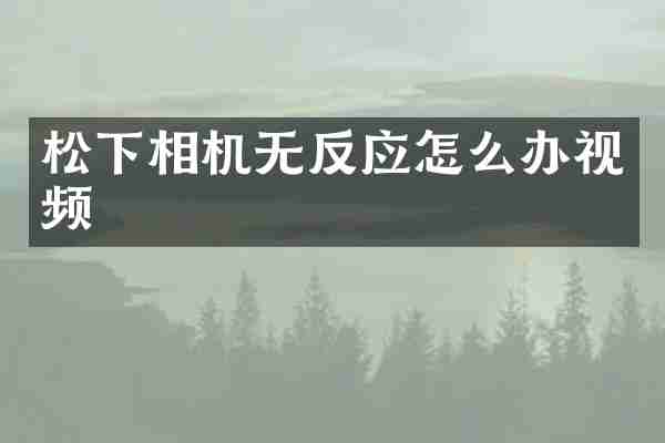 松下相机无反应怎么办视频