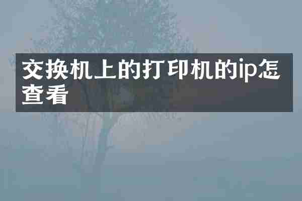 交换机上的打印机的ip怎么查看