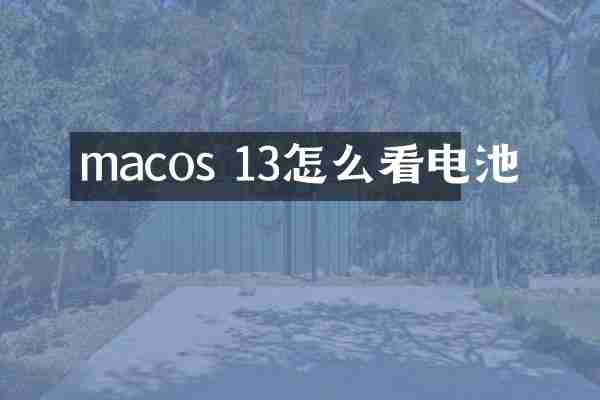 macos 13怎么看电池