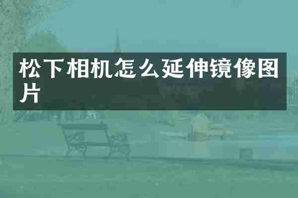 松下相机怎么延伸镜像图片