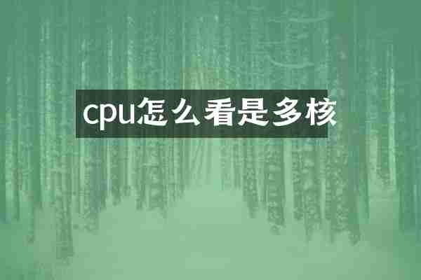 cpu怎么看是多核